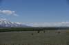 dsc_0624_fs_small.jpg
