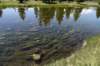 dsc_0673_fs_small.jpg