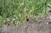 dsc_0676_fs_small.jpg