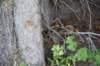 dsc_0679_fs_small.jpg