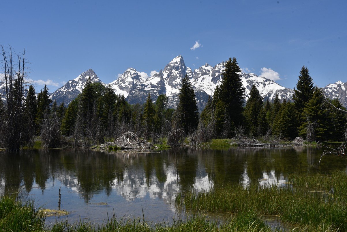 dsc_0687_fs.jpg