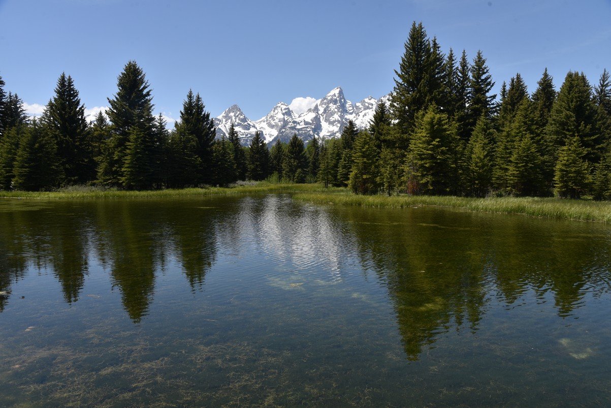 dsc_0689_fs.jpg