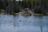 dsc_0692_fs_small.jpg