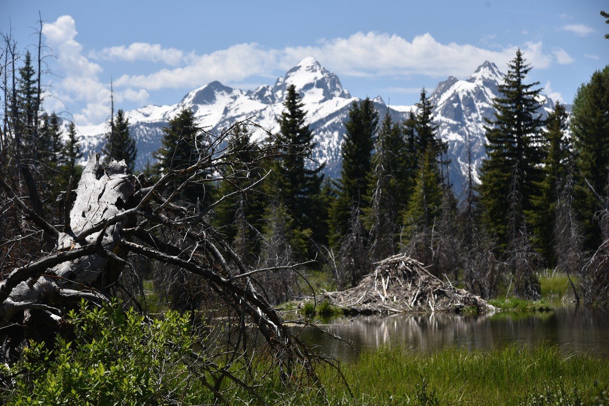 dsc_0695_fs.jpg