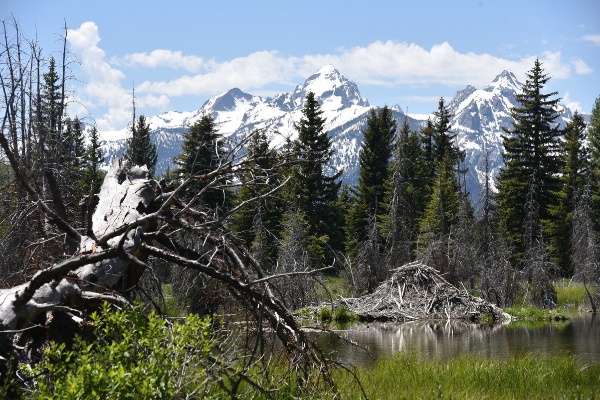 dsc_0696_fs.jpg