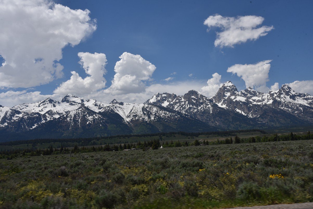 dsc_0708_fs.jpg