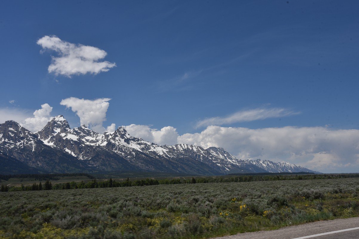 dsc_0710_fs.jpg
