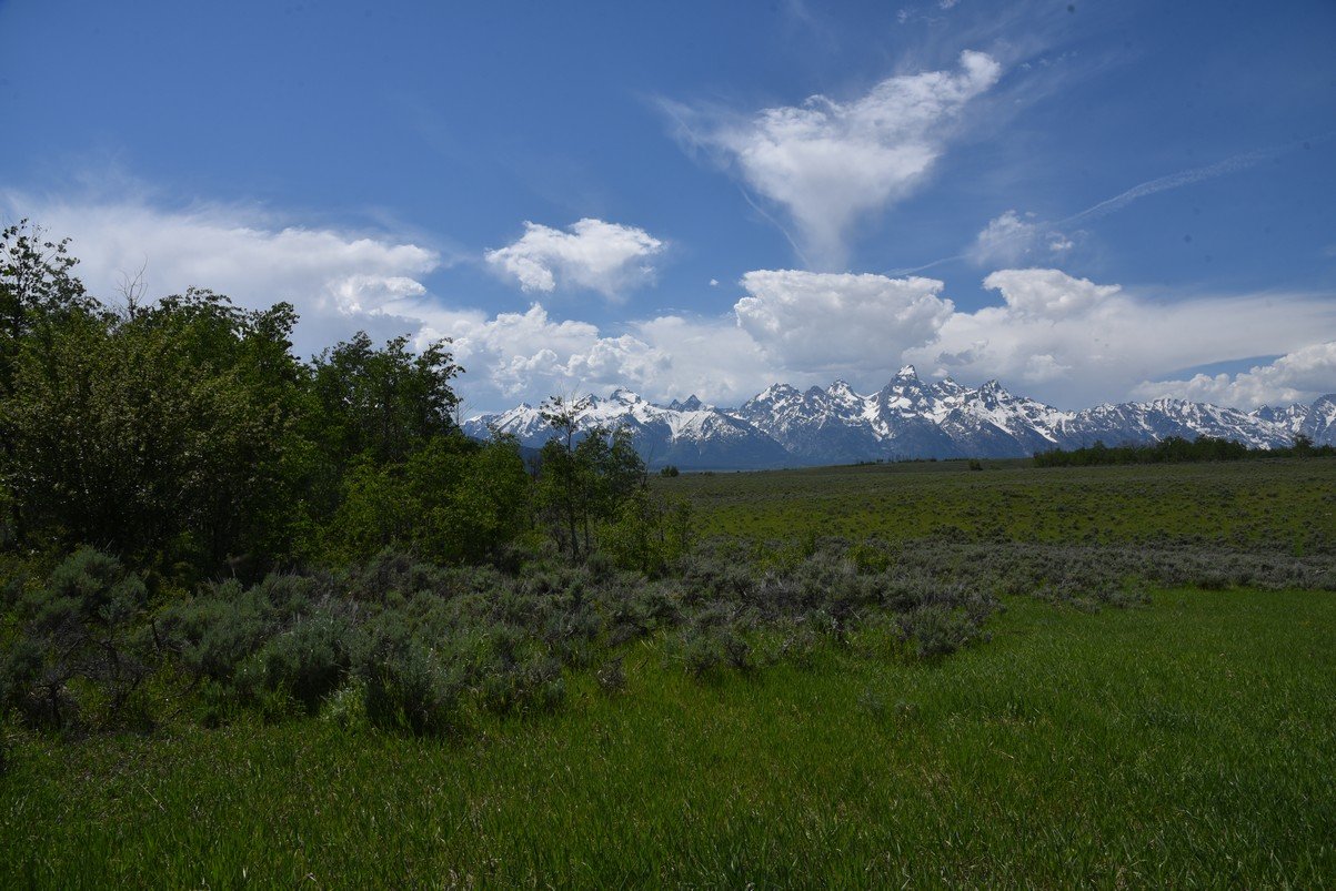 dsc_0715_fs.jpg