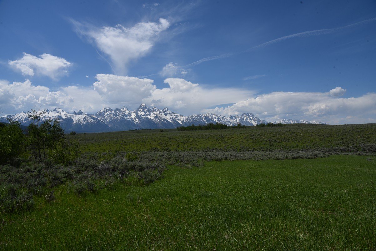 dsc_0716_fs.jpg
