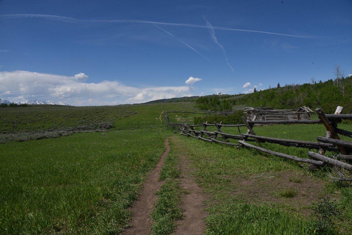 dsc_0718_fs.jpg