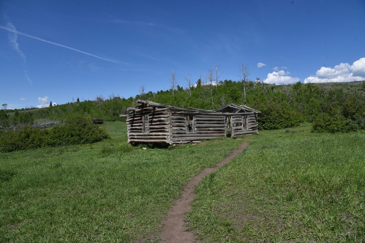dsc_0721_fs.jpg
