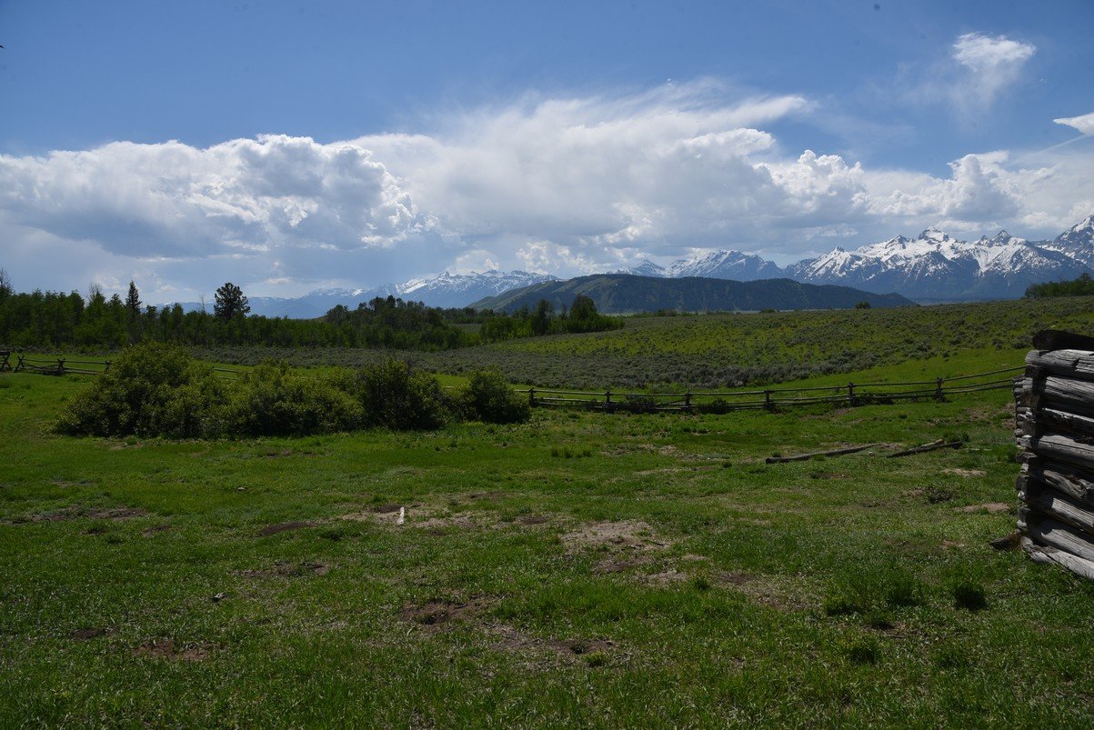 dsc_0731_fs.jpg