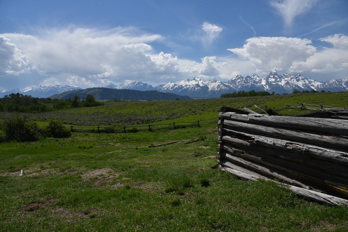 dsc_0732_fs.jpg