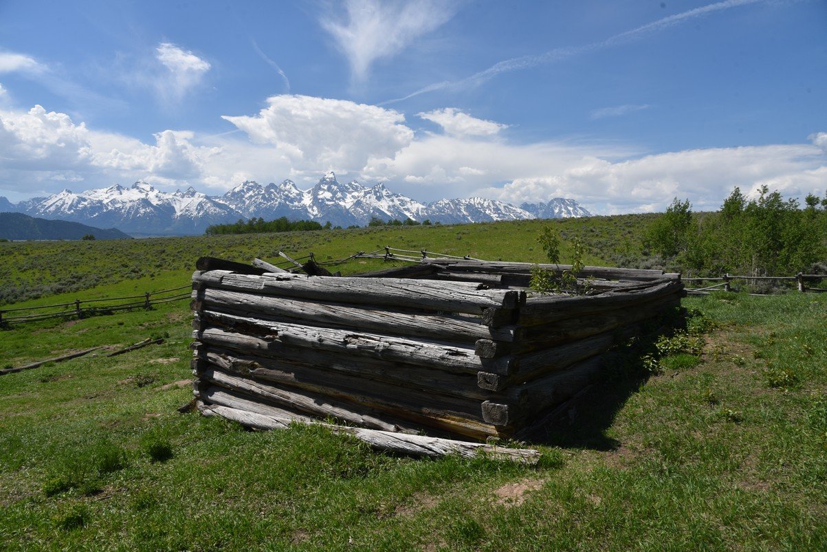 dsc_0733_fs.jpg