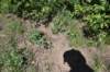 dsc_0735_fs_small.jpg