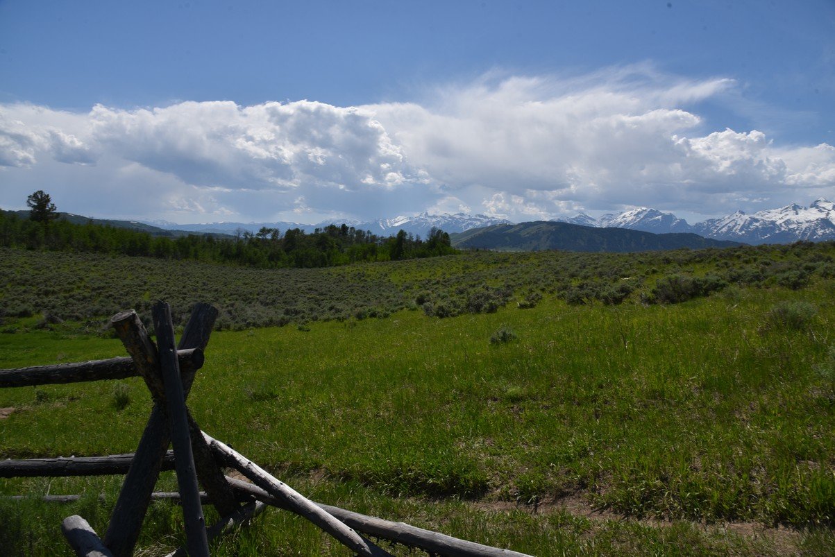 dsc_0746_fs.jpg
