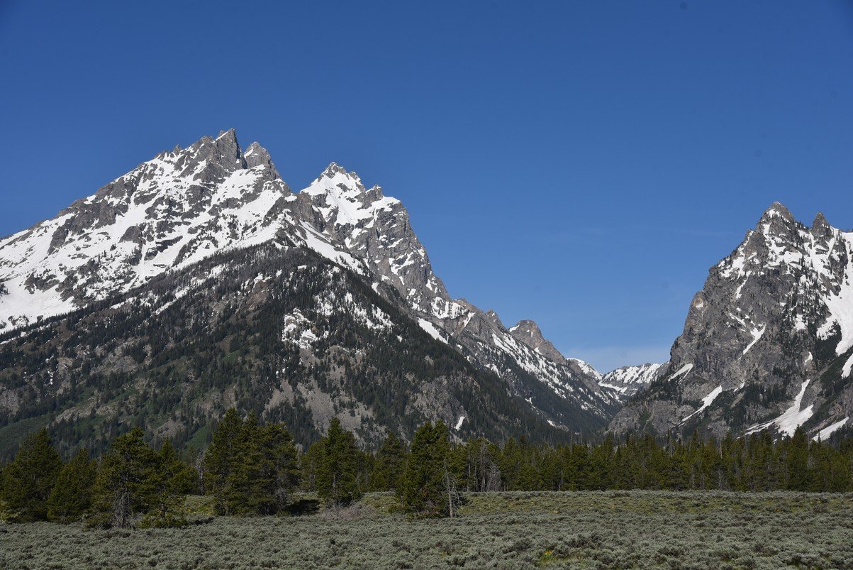 dsc_0771_fs.jpg