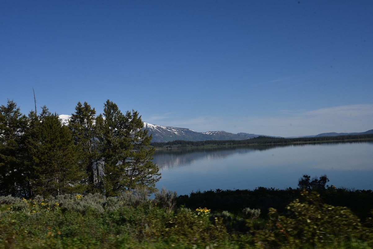 dsc_0783_fs.jpg