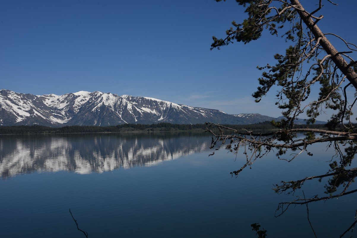 dsc_0793_fs.jpg