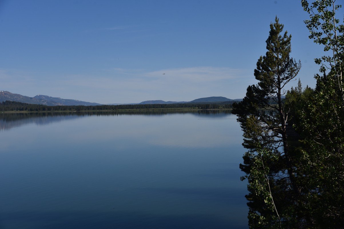 dsc_0809_fs.jpg