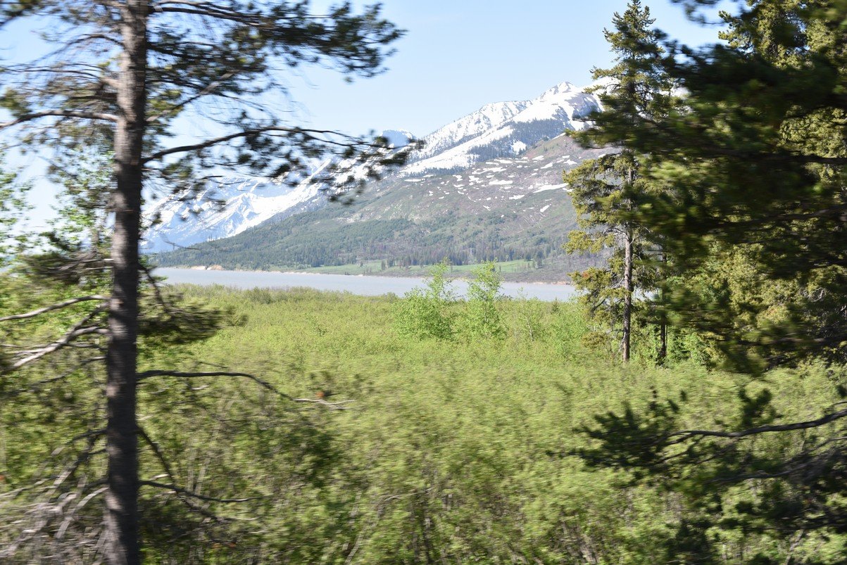 dsc_0850_fs.jpg