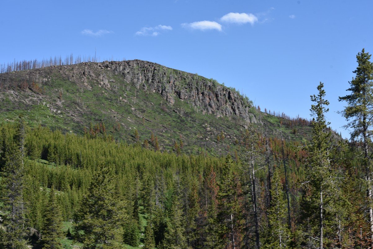 dsc_0855_fs.jpg