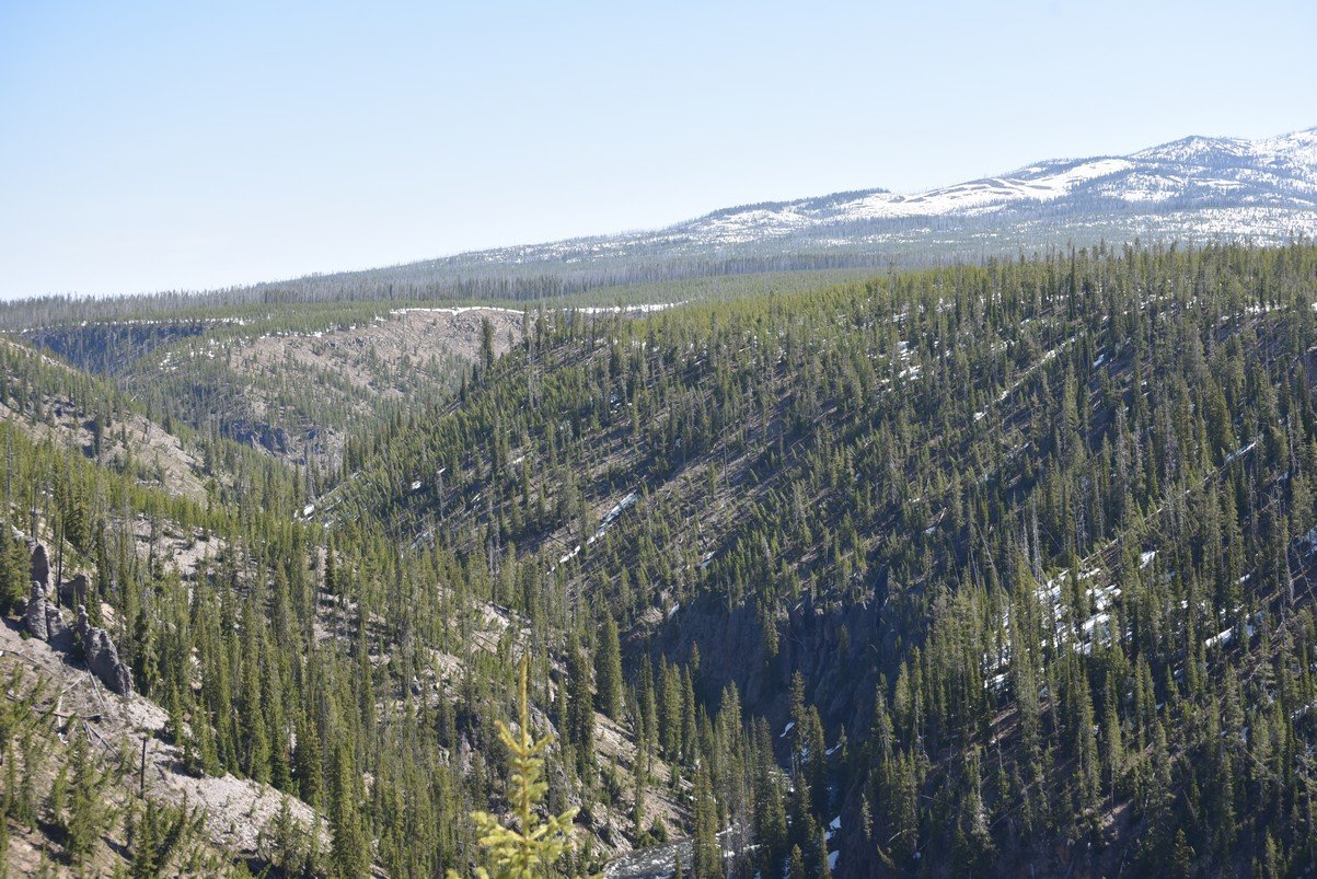 dsc_0865_fs.jpg