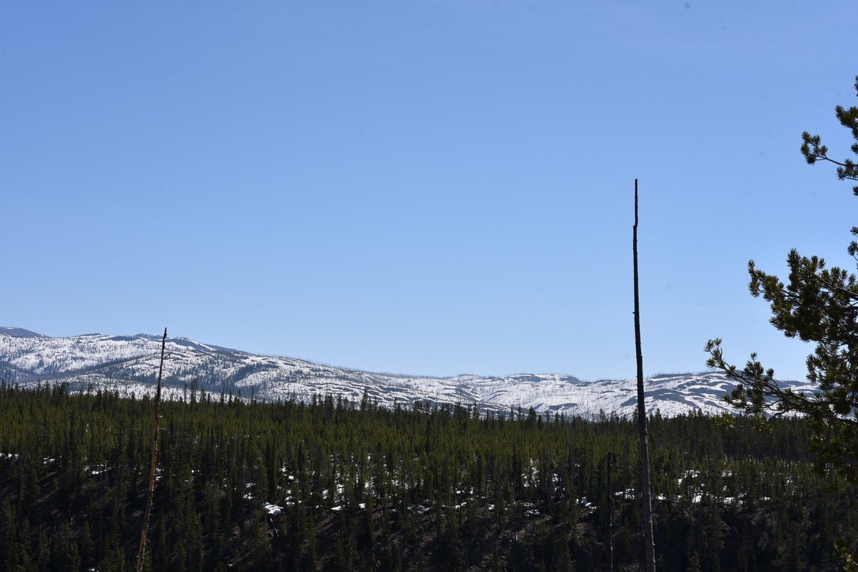 dsc_0867_fs.jpg