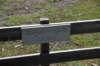 dsc_0899thumbpaintpots_small.jpg