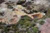 dsc_0901_fs_small.jpg