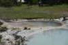 dsc_0902_fs_small.jpg