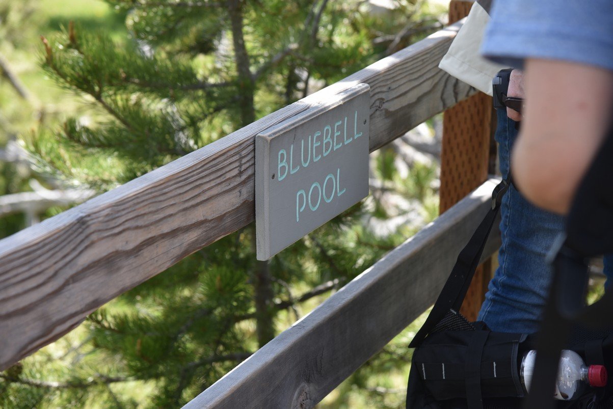 dsc_0904bluebellpool.jpg