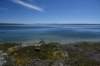 dsc_0907_fs_small.jpg