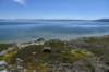 dsc_0908_fs_small.jpg