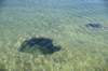 dsc_0920_fs_small.jpg