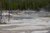 dsc_0930_fs_small.jpg