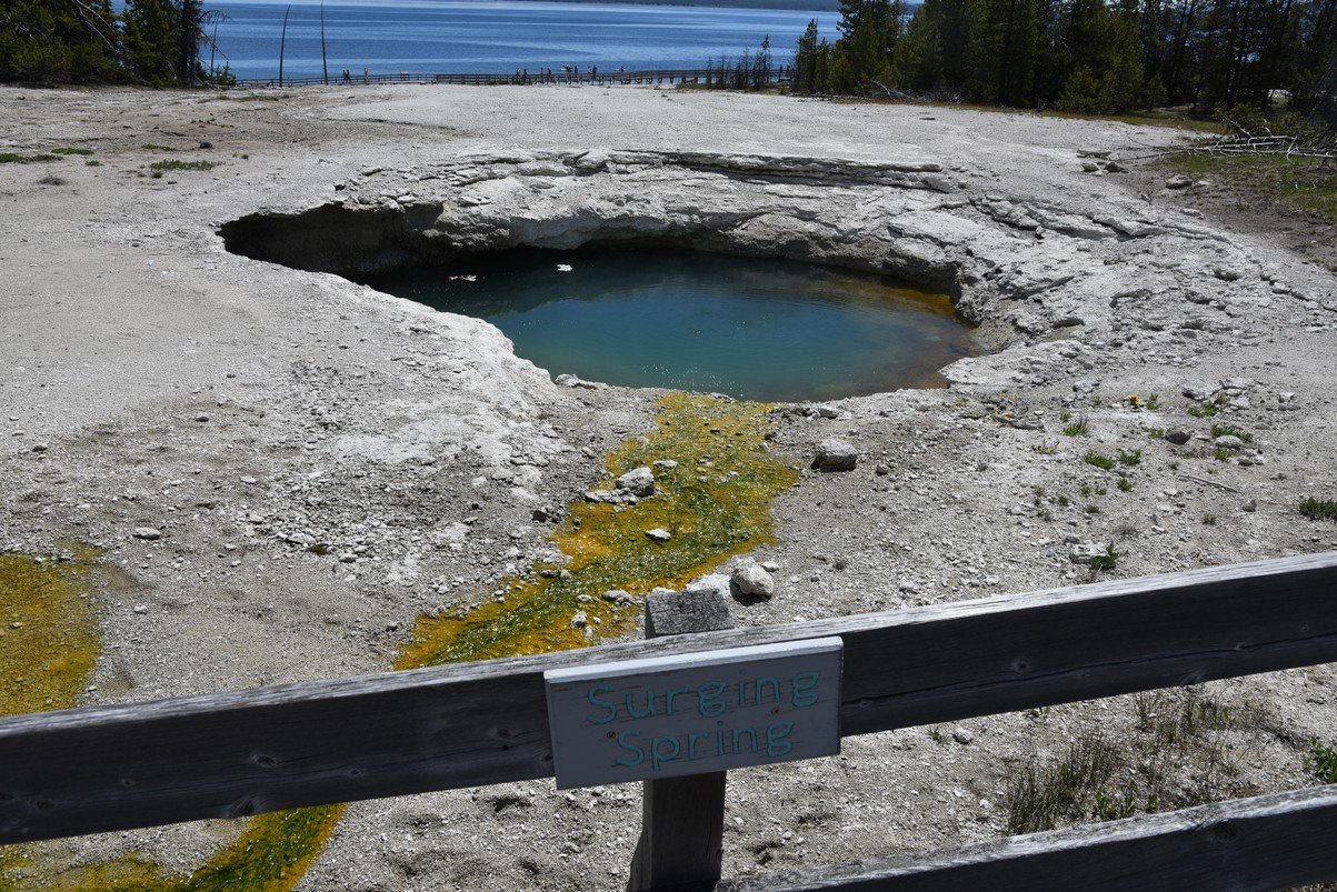 dsc_0961surgingspring.jpg