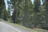 dsc_0981_fs_small.jpg