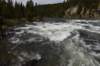 dsc_0992_fs_small.jpg