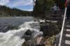 dsc_1000_fs_small.jpg