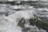 dsc_1002_fs_small.jpg