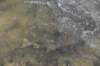 dsc_1004_fs_small.jpg