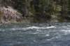 dsc_1005_fs_small.jpg