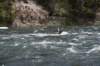 dsc_1006_fs_small.jpg