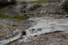 dsc_1048_fs_small.jpg