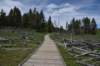 dsc_1077_fs_small.jpg