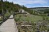 dsc_1079_fs_small.jpg