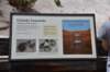 dsc_1081grizzlyfumarole_small.jpg