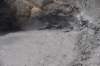 dsc_1088_fs_small.jpg