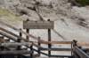 dsc_1091_fs_small.jpg
